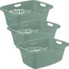 ROTHO 3er Set Wäschekorb 50l FLOWERS, Farbe:Mistletoe Grün