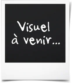 Twisty Petz Spiel-& Bastelset Single, Sortiert 1 Stück -Leifheit || Vileda || Wenko Verkaufsgeschäft 17acac3ef4e78ca6edfda9c0412ab1d3 1