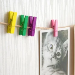 100 Stück Wäscheklammern, Farbig Wäscheklammer Klammern DekoKlammern Holzwäscheklammern Holzklammern Zierklammern Für Fotos Fotowand Clothespins DIY Handwerks 12 100 Stück Wäscheklammern, Farbig Wäscheklammer Klammern DekoKlammern Holzwäscheklammern Holzklammern Zierklammern Für Fotos Fotowand Clothespins DIY Handwerks -Leifheit || Vileda || Wenko Verkaufsgeschäft 18934905b41e68445980618b0eaf9347