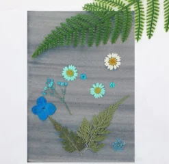 32 Stk Sonnendruck Papier Cyan Papier A5 Solar Zeichenpapier Hohe Empfindlichkeit Cyanotypie Papier + Rückwand DIY Bastelset, 20.8x15cm 22 32 Stk Sonnendruck Papier Cyan Papier A5 Solar Zeichenpapier Hohe Empfindlichkeit Cyanotypie Papier + Rückwand DIY Bastelset, 20.8x15cm -Leifheit || Vileda || Wenko Verkaufsgeschäft 66054b17fe63f1146f5328aaea780d1d