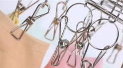 Edelstahl Sockentrockner Wäscheständer Drehhaken, Winddicht, Kleiderbügel Für Socken, Unterwäsche, BHS, Babykleidung, Handschuhe (20 Wäscheklammern) 19 Edelstahl Sockentrockner Wäscheständer Drehhaken, Winddicht, Kleiderbügel Für Socken, Unterwäsche, BHS, Babykleidung, Handschuhe (20 Wäscheklammern) -Leifheit || Vileda || Wenko Verkaufsgeschäft 6de962f702965ae180560127b81cb5fd