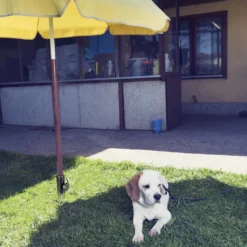 Relaxdays Bodenhülse Für Sonnenschirm -Leifheit || Vileda || Wenko Verkaufsgeschäft 7518a87b9492fa93a6e5df1e303f90fe