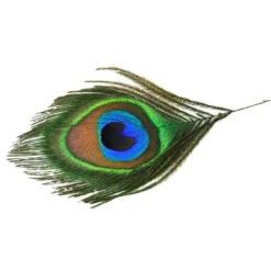 Pfauenfeder 30 Cm -Leifheit || Vileda || Wenko Verkaufsgeschäft 7f56f11bd6ae808b0f87970856d71d0c