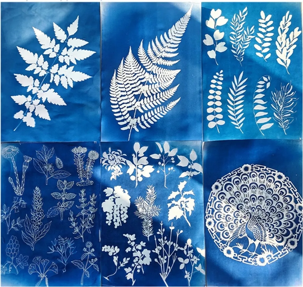 32 Stk Sonnendruck Papier Cyan Papier A5 Solar Zeichenpapier Hohe Empfindlichkeit Cyanotypie Papier + Rückwand DIY Bastelset, 20.8x15cm 4 32 Stk Sonnendruck Papier Cyan Papier A5 Solar Zeichenpapier Hohe Empfindlichkeit Cyanotypie Papier + Rückwand DIY Bastelset, 20.8x15cm – Bild 4