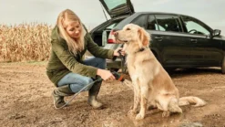 Bosch 3.6V Akku Fensterreiniger GlassVac Inkl. Zubehör -Leifheit || Vileda || Wenko Verkaufsgeschäft b675a2e5ae57002fb2589c5819bf6ce1